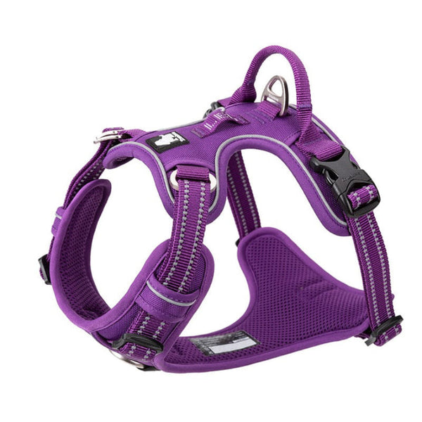 No Pull Harness Purple L Harnesses