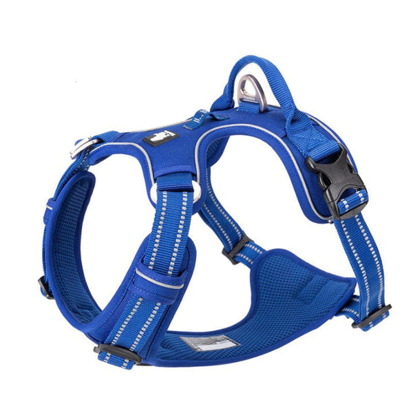 No Pull Harness Royal Blue L Harnesses