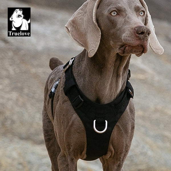 Lightweight Harness Black S Harnesses