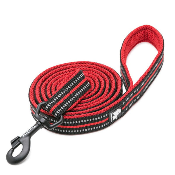 Reflective Pet Leash 2 Meters Red Small Leads & Head Collars
