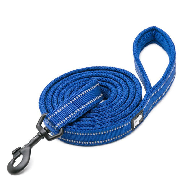 Reflective Pet Leash 2 Meters Royal Blue Large Leads & Head Collars