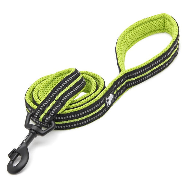 Reflective Pet Leash 2 Meters Yellow Large Leads & Head Collars