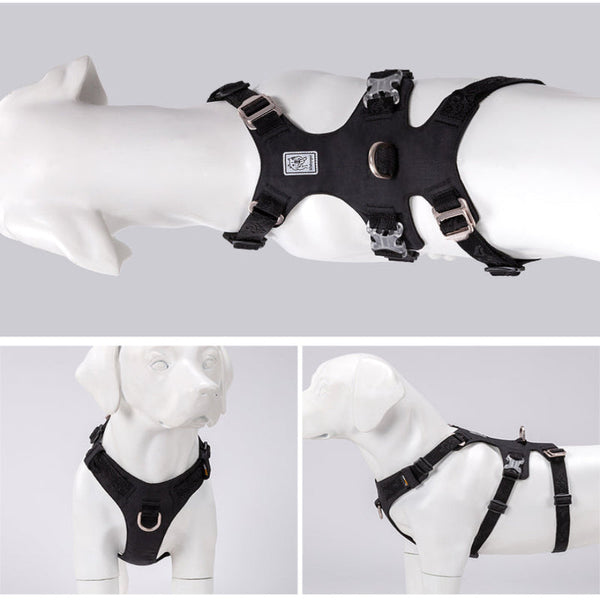 Whinhyepet Harness Black S Harnesses