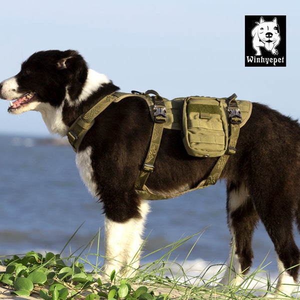 Whinhyepet Military Harness Army Green Harnesses