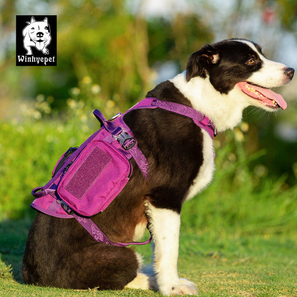 Whinhyepet Military Harness Purple L Harnesses