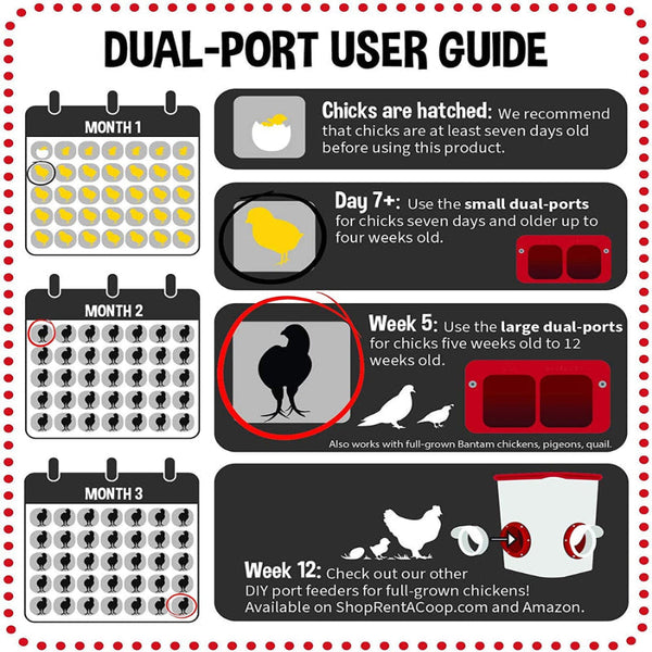 Cheeky Chooka Dual Chick Feeder Port Kit Backyard Poultry Feeders