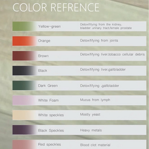 Ion Ionic Detox Foot Bath Spa Machine Tub Array Cell Cleanse For Health Tool Set Salon & Spa Supplies