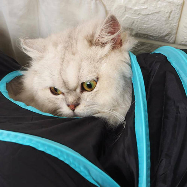 Pet Cat Kitten Puppy 4 Way Tunnel Play Toy Foldable Funny Exercise Tunnel Rabbit Cat Toys