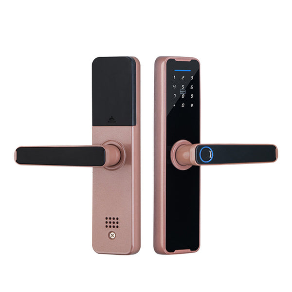 Tuya Home Wifi Smart Door Lock Biometric Fingerprint Smart Card Password Key Usb Smart Door Locks
