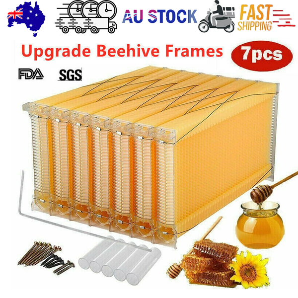 7Pcs Flow Bee Comb Hive Frames For Wooden Beekeeping Beehive House Beekeeping Equipment
