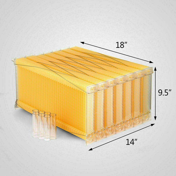 7Pcs Flow Bee Comb Hive Frames For Wooden Beekeeping Beehive House Beekeeping Equipment
