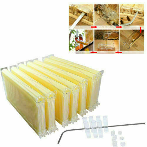 7Pcs Flow Bee Comb Hive Frames For Wooden Beekeeping Beehive House Beekeeping Equipment