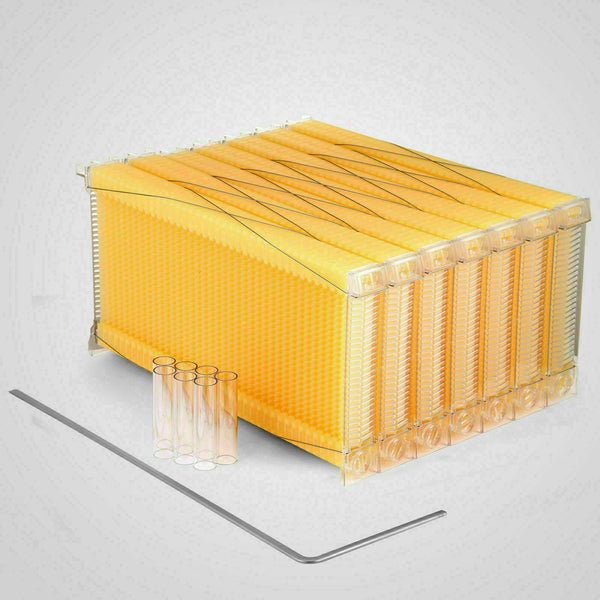 7Pcs Flow Bee Comb Hive Frames For Wooden Beekeeping Beehive House Beekeeping Equipment