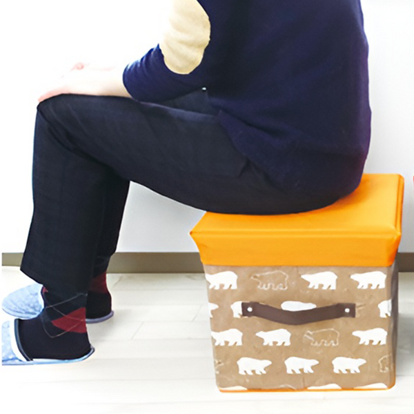 Folding Ottoman Storage Stool Cube Footstool Blanket Box With Cover


Folding Ottomans Footstools & Poufs