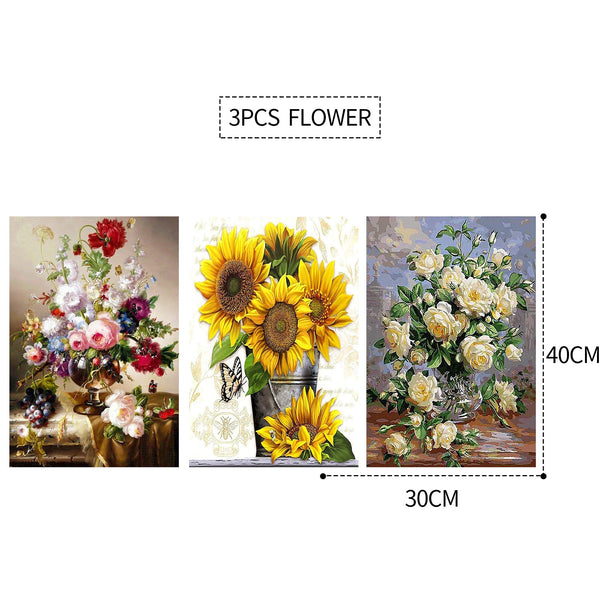 3Pcs 5D Glue Art Set Adults Kids Diy Gift 40X30cm Diamond Painting Kits