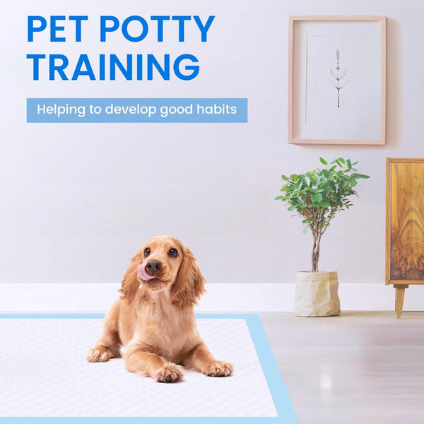 50Pcs Pet Training Pads Puppy Toilet Dog Pee Indoor 60X90cm Super Absorbent Puppy Training Pads