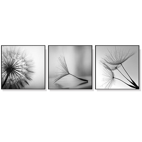 50Cmx50cm Botanical Dandelions 3 Sets Black Frame Canvas Wall Art