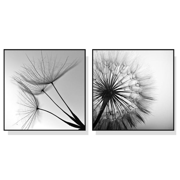 90Cmx90cm Black And White Dandelion 2 Sets Frame Canvas Wall Art