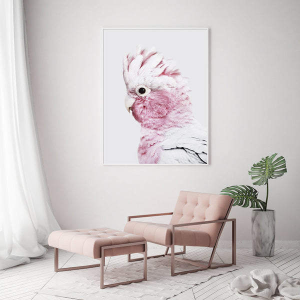 40Cmx60cm Pink Galah White Frame Canvas Wall Art
