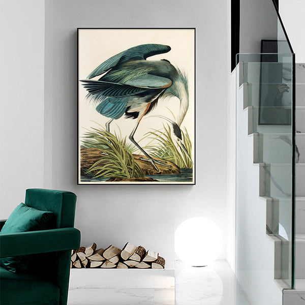 90Cmx135cm Great Blue Heron By John James Audubon Black Frame Canvas Wall Art