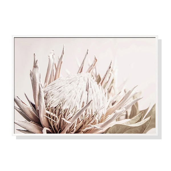 100Cmx150cm Pure Protea Ii White Frame Canvas Wall Art