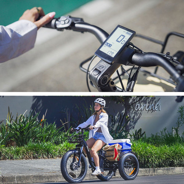 Electric Fat Tyre Tricycle 500W Throttle Hydraulic Disc Brakes Alloy Frame Suspension Black Electric Bicycles