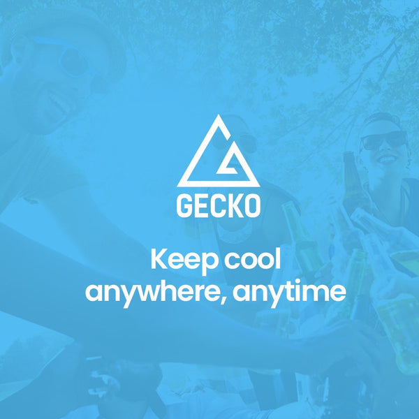 Gecko 100L Chest Freezer 12V/24V/240V For Motorhome And White Mini Fridges