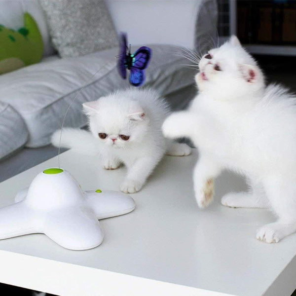 All For Paws Flutter Bug Butterfly Cat Toy Interactive Teaser Pet Kitty Play Cat Toys