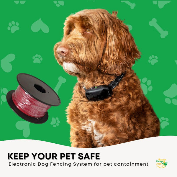 Fences & Pens Rooster Farms 300M Boundary Wire Solid Copper Dog Fence Underground Invisible Red Cable