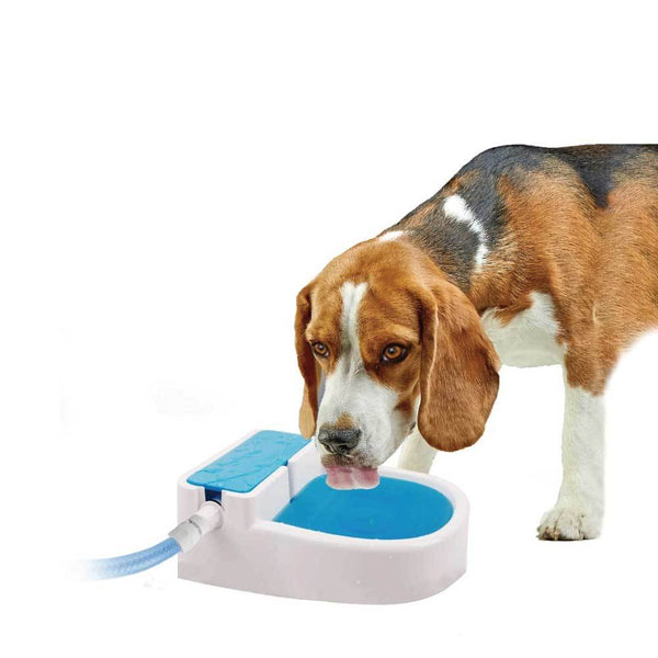 Dog Fountains All For Paws Auto Filling Dog Drinking Water Fountain Outdoor Automatic Pet Bowl