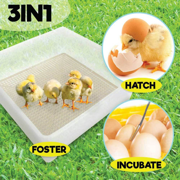 Electric 112 Egg Incubator + Accessories Hatching Eggs Chicken Quail Duck Incubators