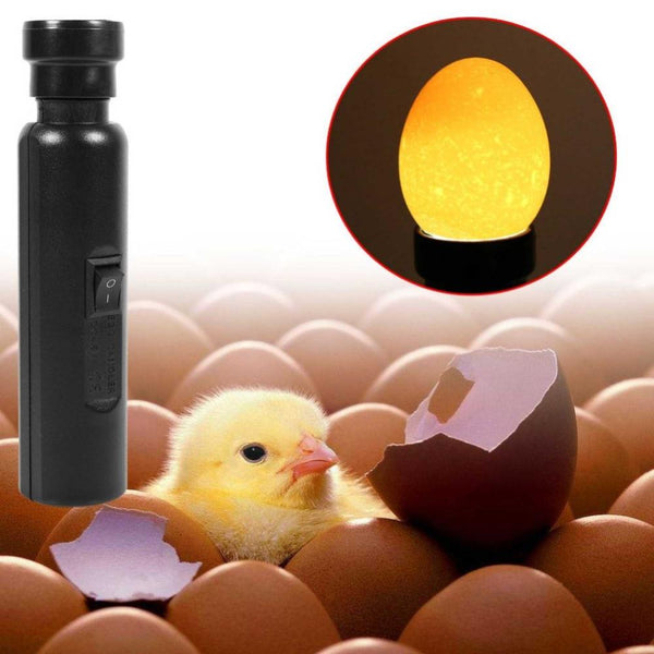 Au Plug Egg Candler Lamp Led Cool Light Chicken Duck Quail Hatching Incubator Incubators