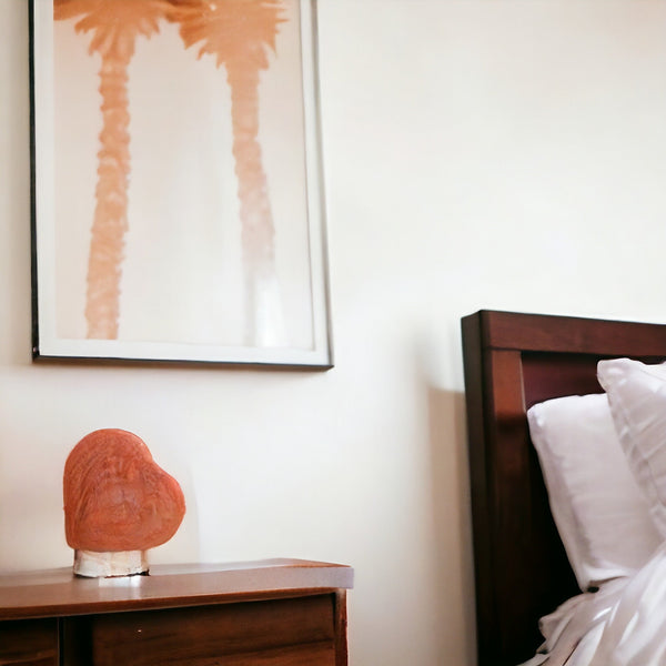 Orku 12V 12W Heart Himalayan Pink Salt Lamp Carved Rock Crystal Light Bulb On/Off Switch Night Lights