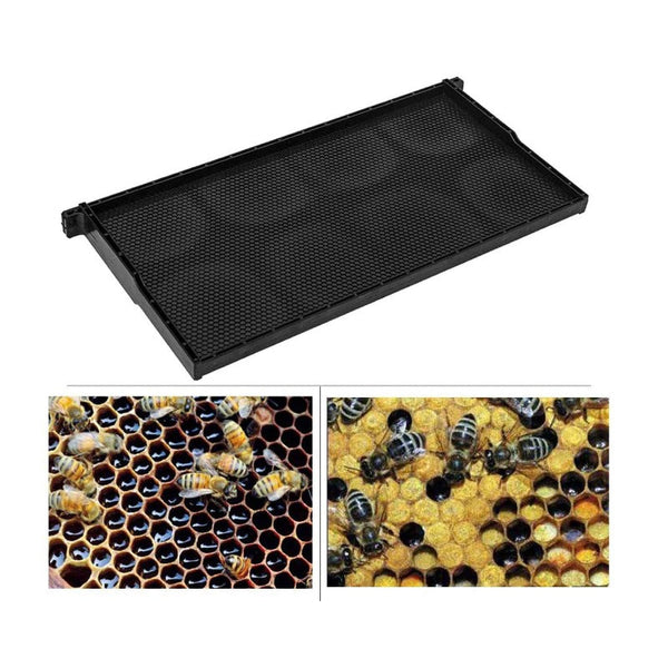 20X Beehive Plastic Frames Foundations Langstroth Hive Deep Box Beekeeping Beekeeping Equipment