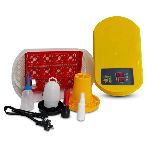 Incubators Rooster Farms Electric 12 Egg Incubator + Accessories Hatching Eggs Chicken Quail Duck