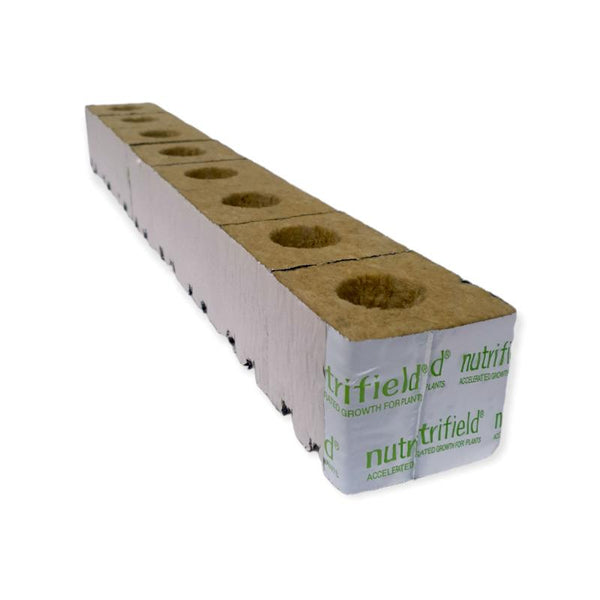 Nutrifield 75X75x65mm Stonewool 8Pk Planting Propagation Growing Assist Block Hydroponic Growing Kits