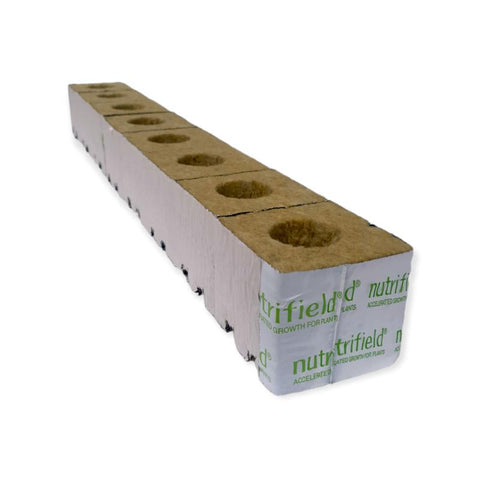 Nutrifield 75X75x65mm Stonewool 8Pk Planting Propagation Growing Assist Block Hydroponic Growing Kits