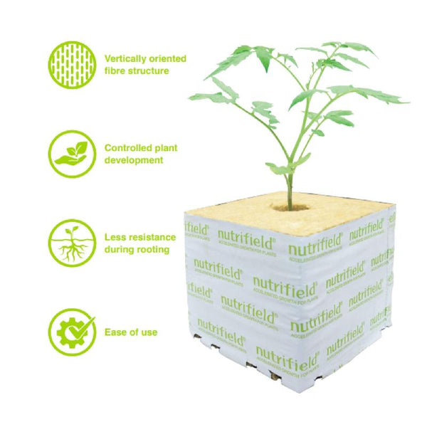 Nutrifield 75X75x65mm Stonewool 8Pk Planting Propagation Growing Assist Block Hydroponic Growing Kits