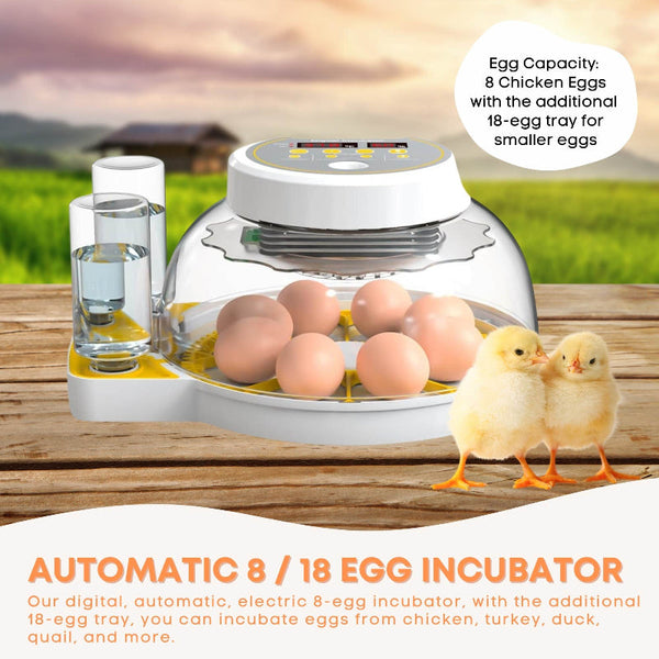 Automatic 8 / 18 Egg Incubator Electrical Turning Chicken Quail Duck Hatching Incubators