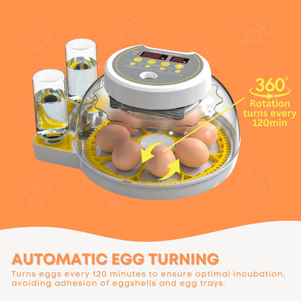 Automatic 8 / 18 Egg Incubator Electrical Turning Chicken Quail Duck Hatching Incubators