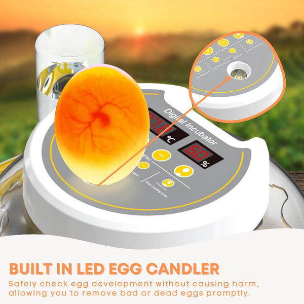 Automatic 8 / 18 Egg Incubator Electrical Turning Chicken Quail Duck Hatching Incubators