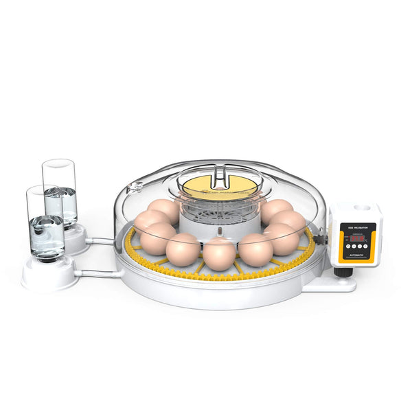 Automatic 12 Egg Incubator Electric Digital Turning Chicken Quail Duck Hatching Incubators
