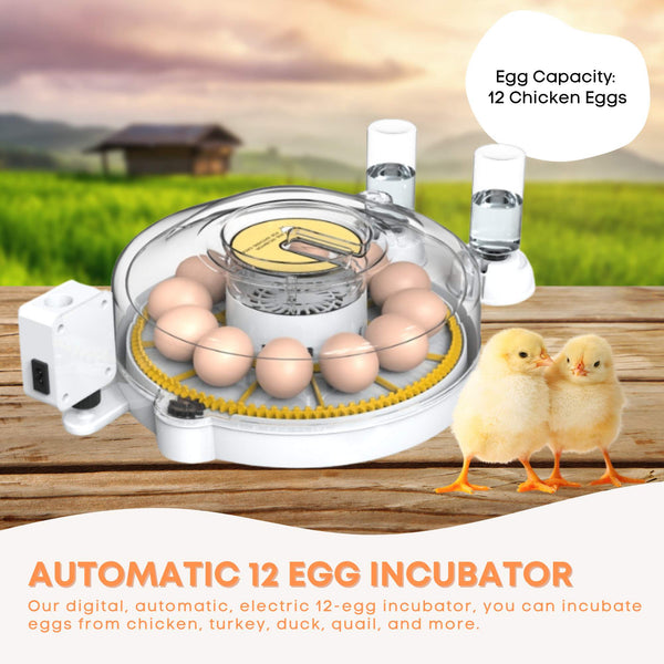 Automatic 12 Egg Incubator Electric Digital Turning Chicken Quail Duck Hatching Incubators