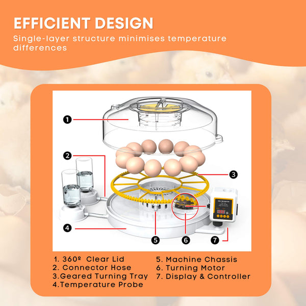 Automatic 12 Egg Incubator Electric Digital Turning Chicken Quail Duck Hatching Incubators