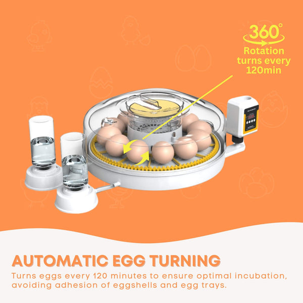 Automatic 12 Egg Incubator Electric Digital Turning Chicken Quail Duck Hatching Incubators