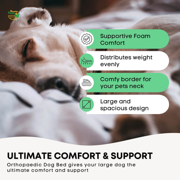 Orthopaedic Dog Bed Xl Grey Memory Foam Mattress Waterproof Removable Cover Mattress Toppers & Protectors