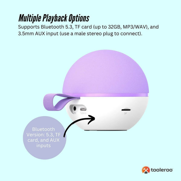 Mini Karaoke Machine 2X Wireless Microphones Portable Bluetooth Speaker Purple Karaoke Microphones