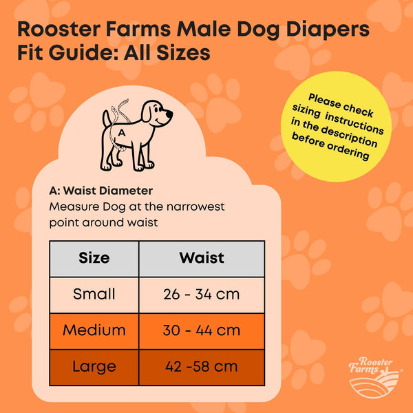 Rooster Farms Male Dog Diapers Medium 3Pk Washable Reusable Nappies Hook/Loop Dog Clothing & Shoes