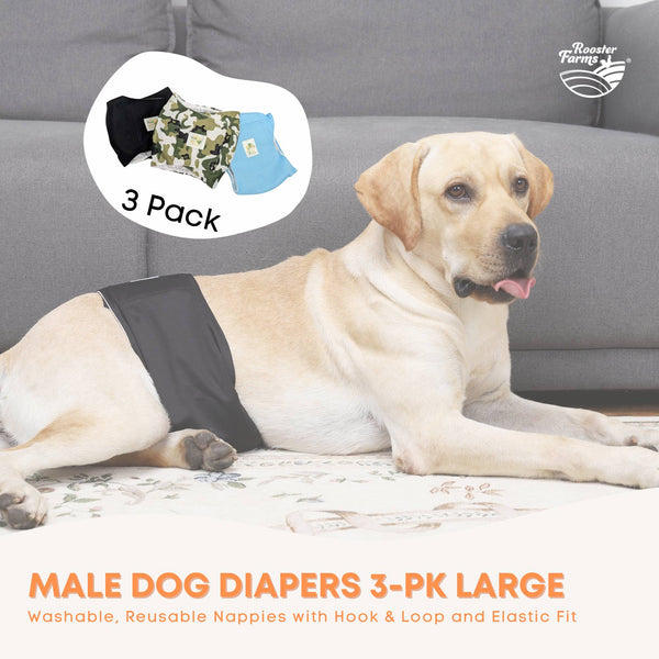 Rooster Farms Male Dog Diapers Large 3Pk Washable Reusable Nappies Hook/Loop Dog Clothing & Shoes