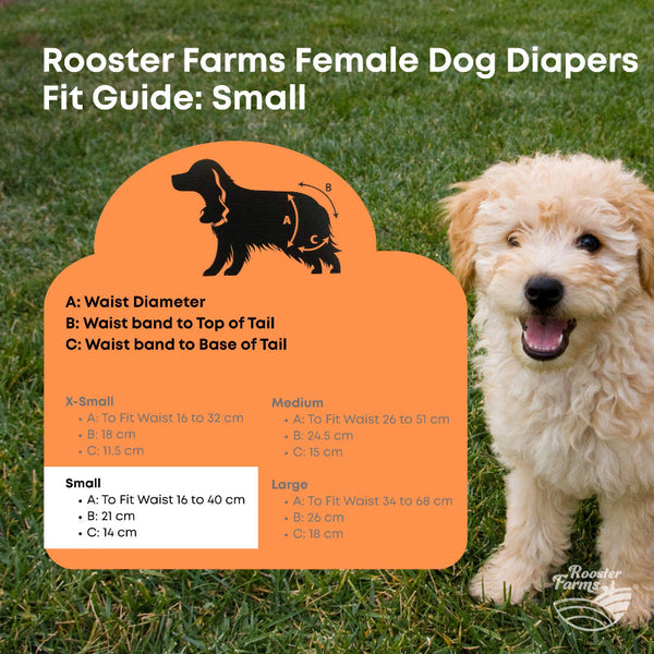 Rooster Farms Female Dog Diapers Small 3Pk Washable Reusable Nappies Hook/Loop Pink Dog Clothing & Shoes
